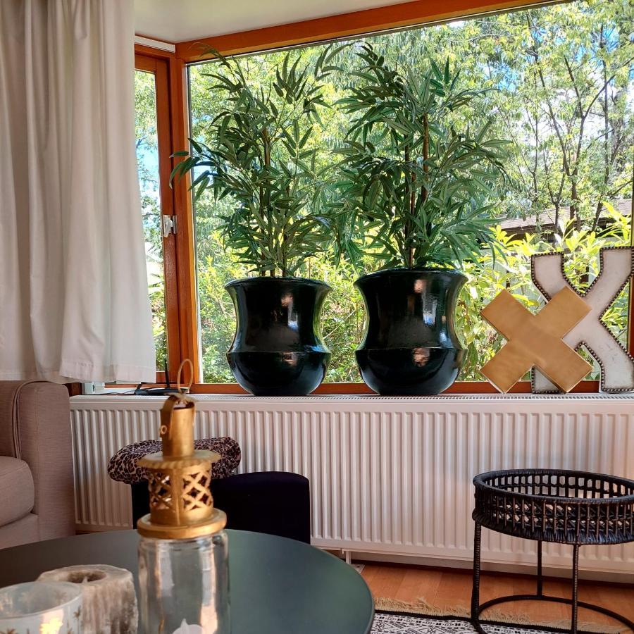 Heerlijk Chalet In Prachtige Natuur. Doornspijk Exteriér fotografie